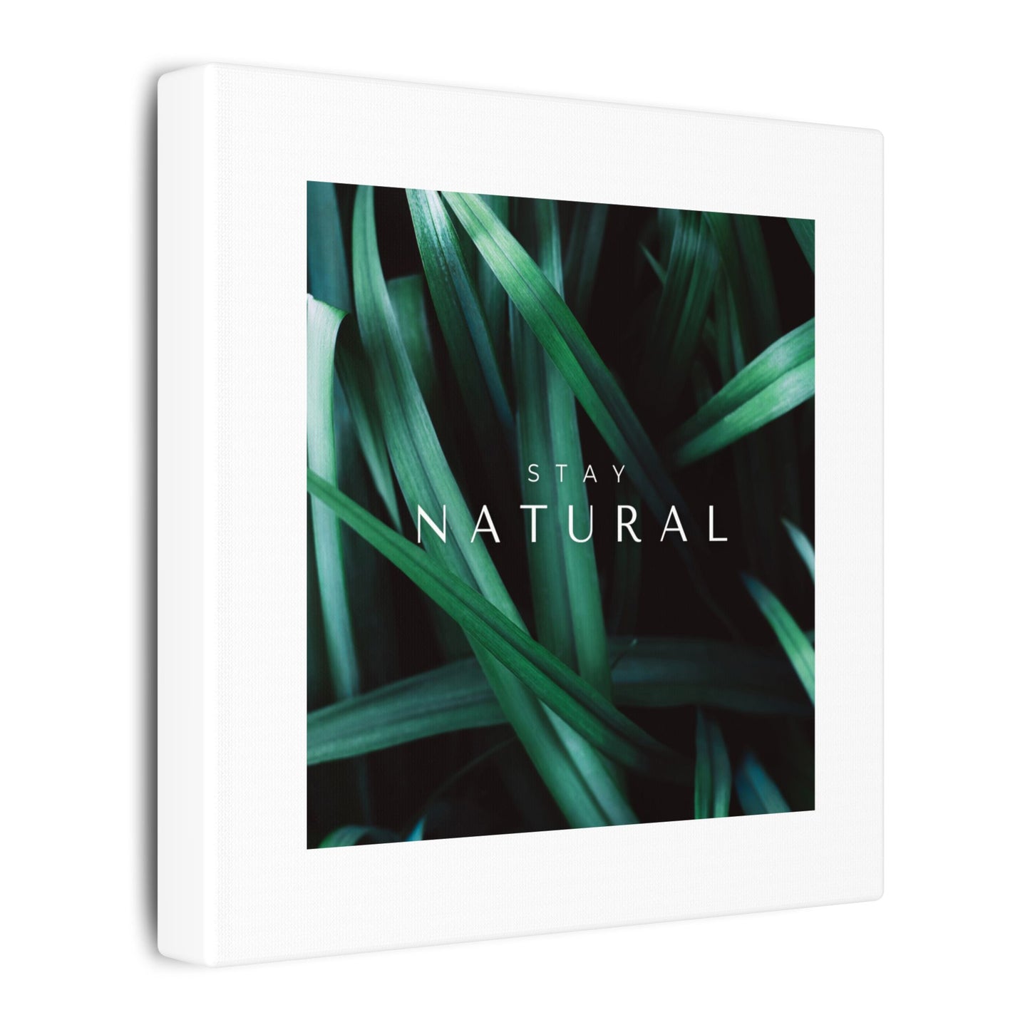 Stay Natural Botanical Canvas Wall Art