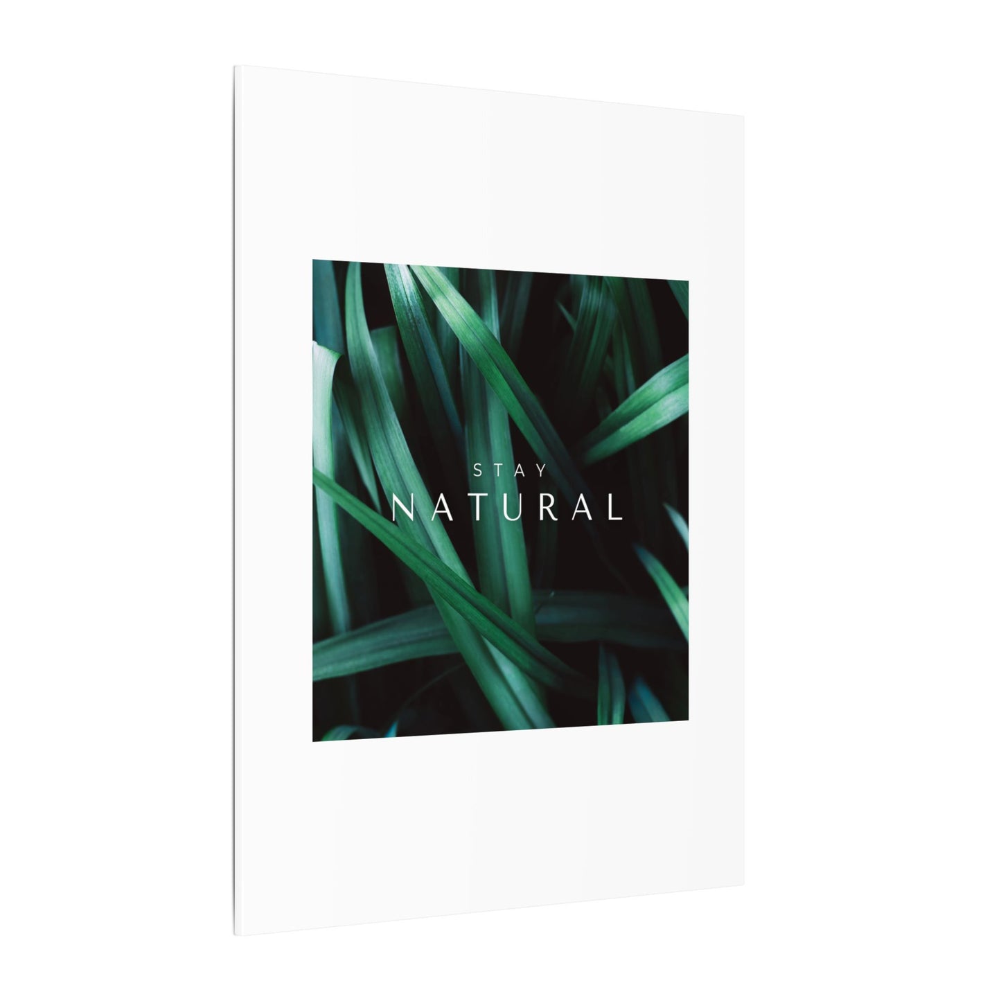 Stay Natural Botanical Canvas Wall Art