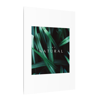 Stay Natural Botanical Canvas Wall Art