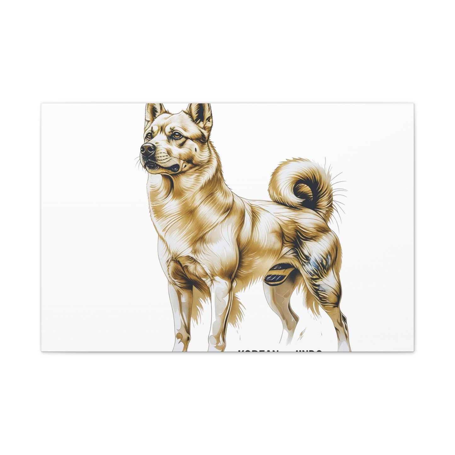 Korean Jindo Dog Illustration Canvas Wall Art | Eco - Limited